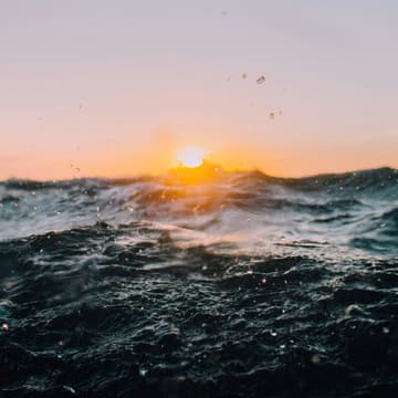 Cover Image for Ocean Impact Storytelling | Coffee & Conversation