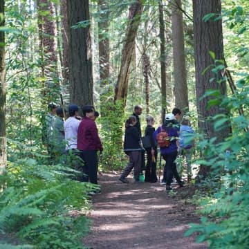 Cover Image for Plant ID Walk