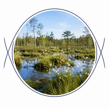 Cover Image for Moor-Aktionstag mit NABU & NAJU