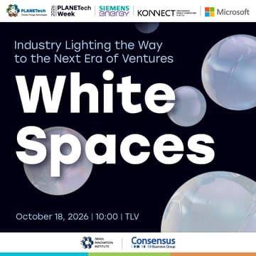 Cover Image for White Spaces