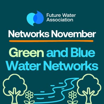 Cover Image for Networks November: Green and Blue Water Networks