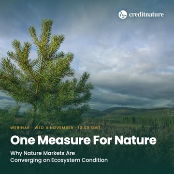 Cover Image for One Measure For Nature: Why Nature Markets Are Converging on Ecosystem Condition