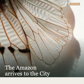 Cover Image for The Amazon arrives to the City: Exclusive Drink Ceremony and Inmersive sound experience in Collaboration with Xapiri Ground.