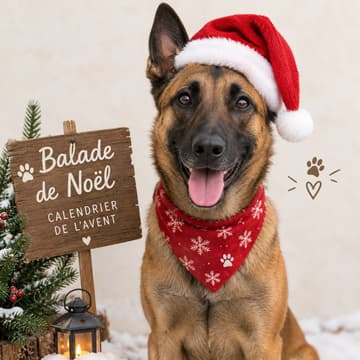 Cover Image for Balade Collective + Calendrier De L’avent