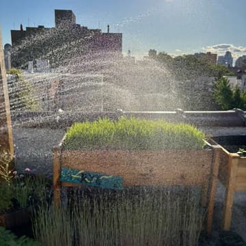 Cover Image for Gardening on the Roof - Spring '26 Season