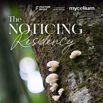 Cover Image for The Noticing Residency with Pankaj Mishra - September Cohort