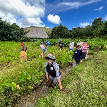 Cover Image for "Hold to Reset": Volunteer day at Hoʻokuaʻāina