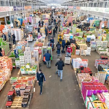 Cover Image for Rencontre & Visite Privilégiée : Les FFI aux côtés des Grossistes du Marché de Rungis