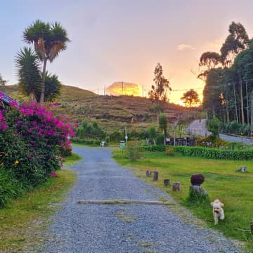 Cover Image for Caminada y brunch gratis