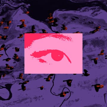 Cover Image for 👾💫 Open House #3 by Blackbird Foundation