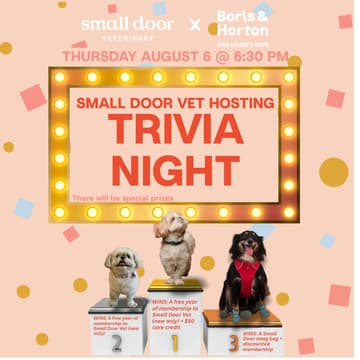 Cover Image for TRIVIA NIGHT Hosted by Small Door Vet!