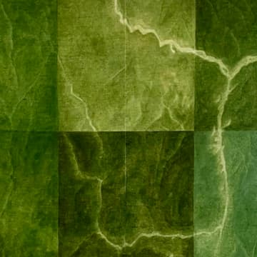 Cover Image for DAUF 2026