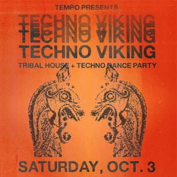 Cover Image for TECHNO VIKING