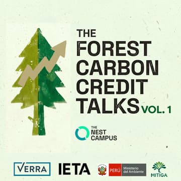 Cover Image for Unlocking the Potential of REDD+: Aligning High-Integrity Credits with Article 6