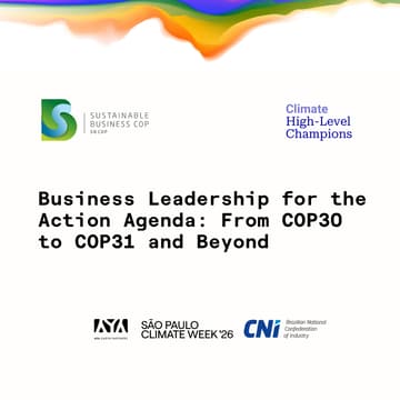 Cover Image for Business Leadership for the Action Agenda: From COP30 to COP31 and Beyond