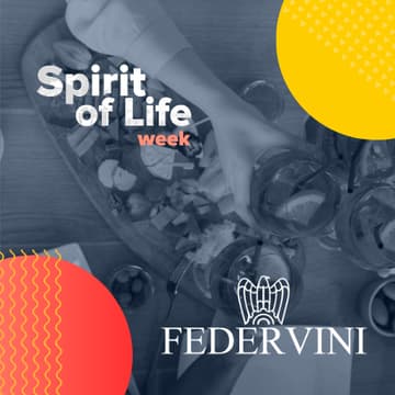 Cover Image for Federvini - Moderate Consumption of Alcoholic Beverages, a Case Study