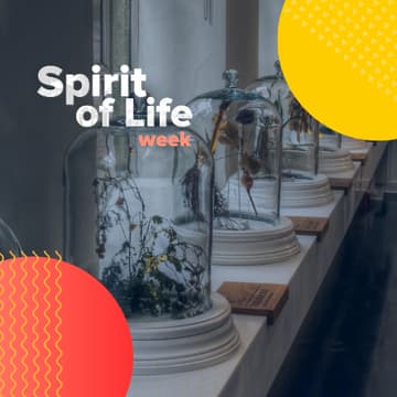 Cover Image for How Spirits Help Sustain Tourism and a Dynamic Hospitality Sector in Europe