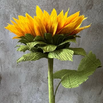 Cover Image for Paper Forever Sunflowers with Indoor Recess