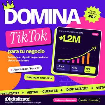 Cover Image for Domina TikTok para tu Negocio