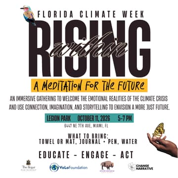 Cover Image for Rising Withing: A Meditation for the Future