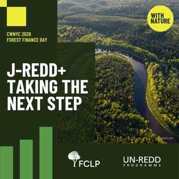 Cover Image for J-REDD+ Taking the Next Step