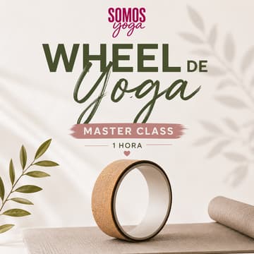 Cover Image for Wheel Master Class