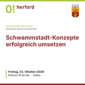 Cover Image for Schwammstadt-Konzepte erfolgreich umsetzen