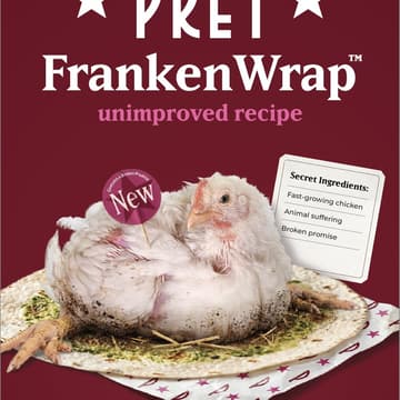 Cover Image for Take action against frankenchicken