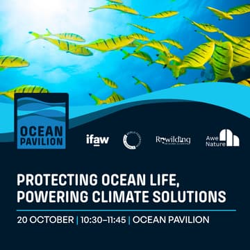 Cover Image for Protecting Ocean Life, Powering Climate Solutions