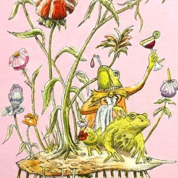 Cover Image for Collin van der Sluijs: Wanderland