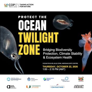Cover Image for Protecting the Ocean Twilight Zone: Bridging Biodiversity Protection, Climate Stability and Ecosystem Health
