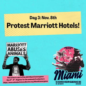 Cover Image for Marriott Protest