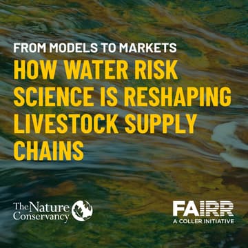 Cover Image for From Models to Markets: How Water Risk Science Is Reshaping Livestock Supply Chains
