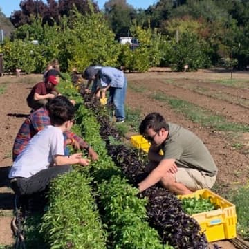 Cover Image for Farm Harvest and Lunch - First Year PhD Community Program