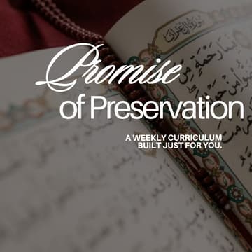 Cover Image for Promise of Preservation