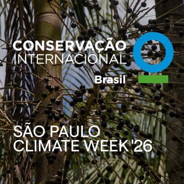 Cover Image for Destravando a Restauração no Pará (Conservação Internacional)