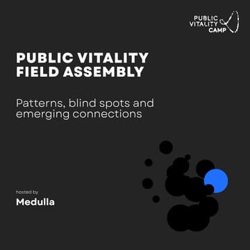 Cover Image for Public Vitality Field Assembly