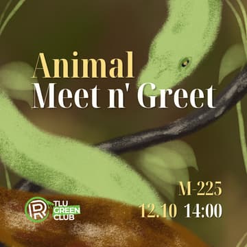 Cover Image for Loomade meet'n'greet | Animal meet'n'greet