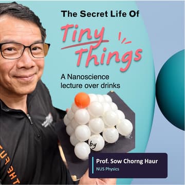 Cover Image for The Secret Life of Tiny Things: A nanoscience lecture over drinks! (limited seats, incl. a drink)