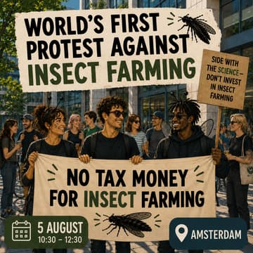 Cover Image for The world's first protest against insect farming