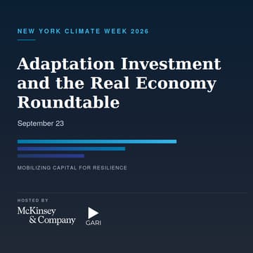 Cover Image for Adaptation Investment and the Real Economy Roundtable