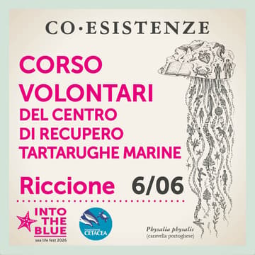 Cover Image for Corso volontari