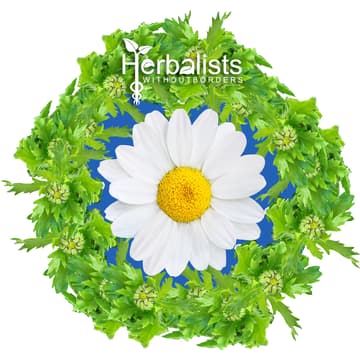 Cover Image for A Cup Of Tea With HWB: UK