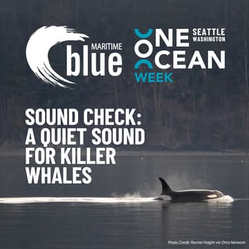 Cover Image for Sound Check: A Quiet Sound for Killer Whales