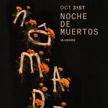 Cover Image for Noche de Muertos x Nômade Holbox