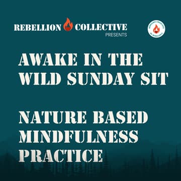 Cover Image for Sunday Sit with Nicholas Whitaker