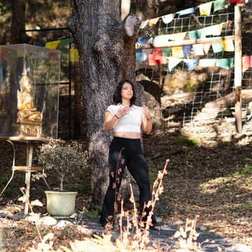 Cover Image for Qigong for Fall Season