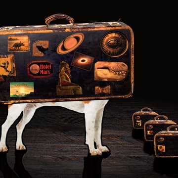 Cover Image for The Curious Case Full of Curious Cases - the improvised play + pre-show mingle