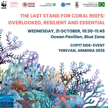 Cover Image for The Last Stand for Coral Reefs: Overlooked, Resilient and Essential