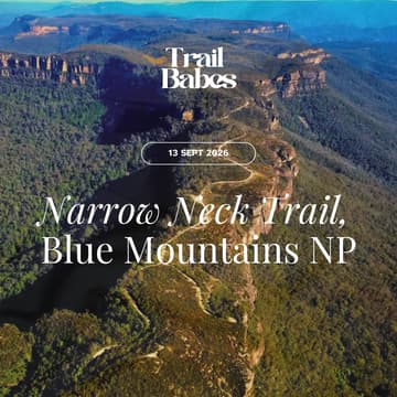 Cover Image for Narrow Neck Trail, Blue Mountains National Park